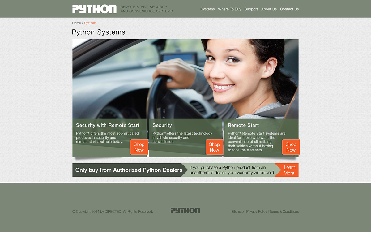 Systems Subpage - PythonCarSecurity.com Web Site Redesign